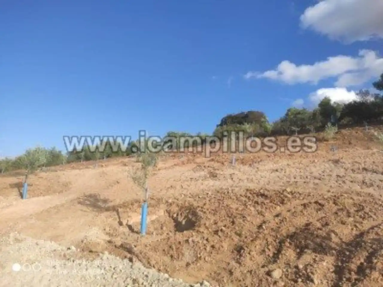 1.70 HECTAREAS ENTRE CAMPONUBES Y LUQUE, imatge 3