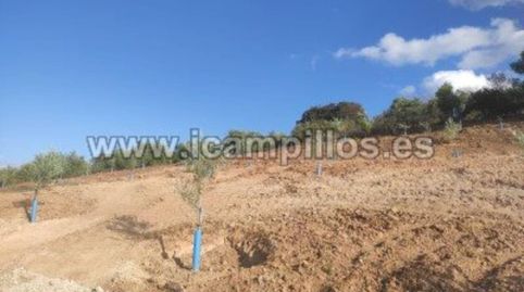1.70 HECTAREAS ENTRE CAMPONUBES Y LUQUE, imatge 3