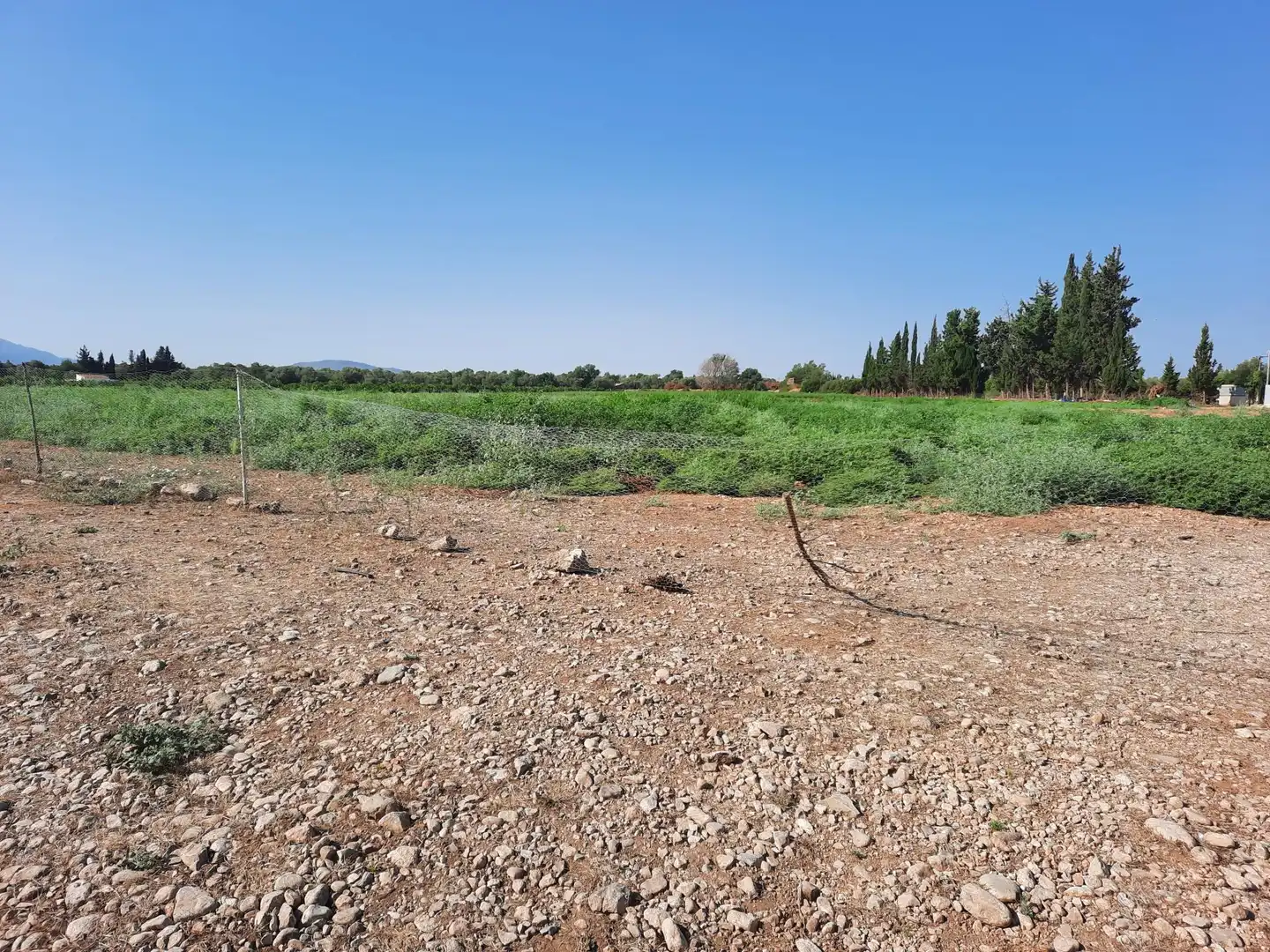 Rustikales Grundstück zum Verkauf in Santa Bàrbara, imagen 6