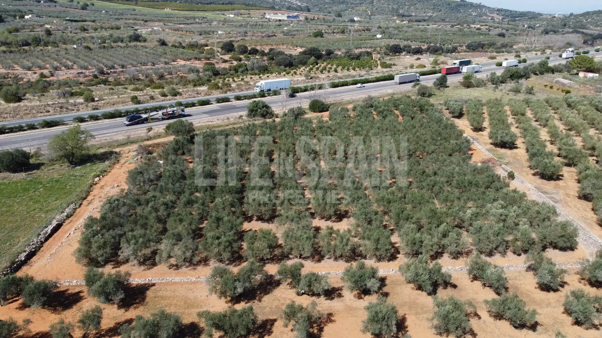 Terreno rustico in vendita a Freginals, imagen 13