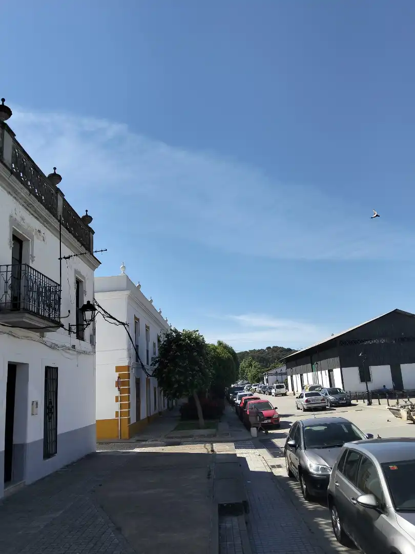 Vista exterior de Casa adosada en venda en Jabugo amb Jardí privat i Balcó