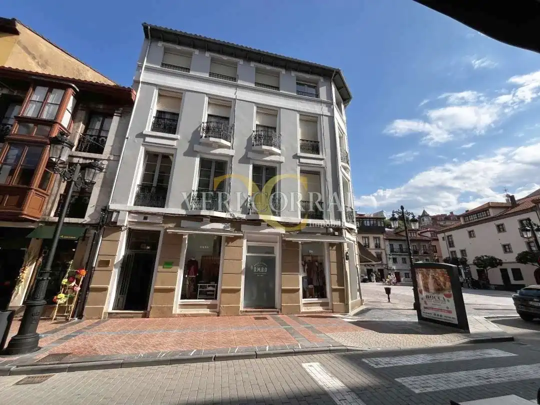 Wohnung mit Terrasse zum Verkauf in Calle Gran Vía de Agustín Argüelles, imagen 17