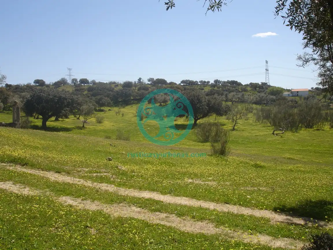 Terreno en venta en Mata de Alcántara