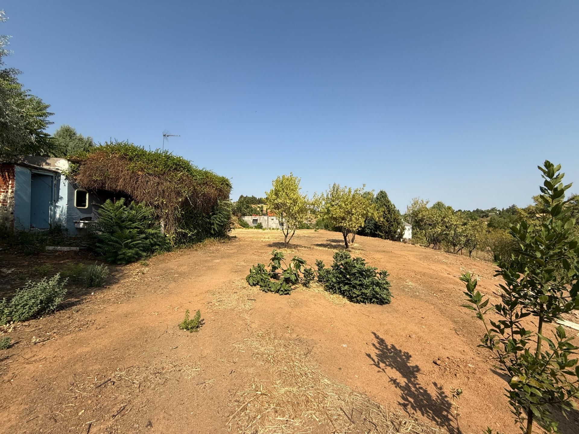 Residencial en venda en Albarreal de Tajo