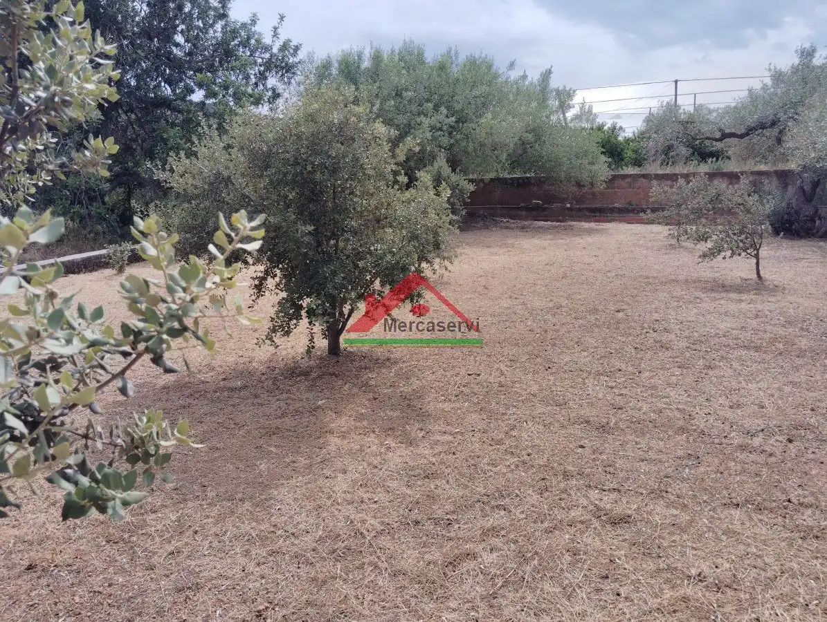 Country homes for sale in Vinaròs  with Terrace