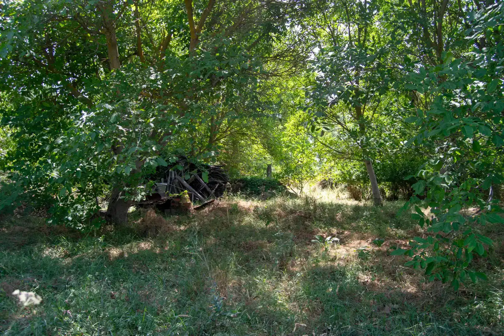 Terreno en venta en Molina de Aragón, Guadalajara