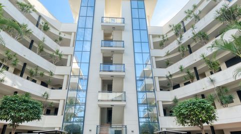 Photo 4 of Apartments for rent in Guadalmansa, Estepona