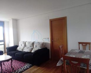 Sala d'estar de Pis de lloguer en Ourense Capital  amb Calefacció, Traster i Moblat