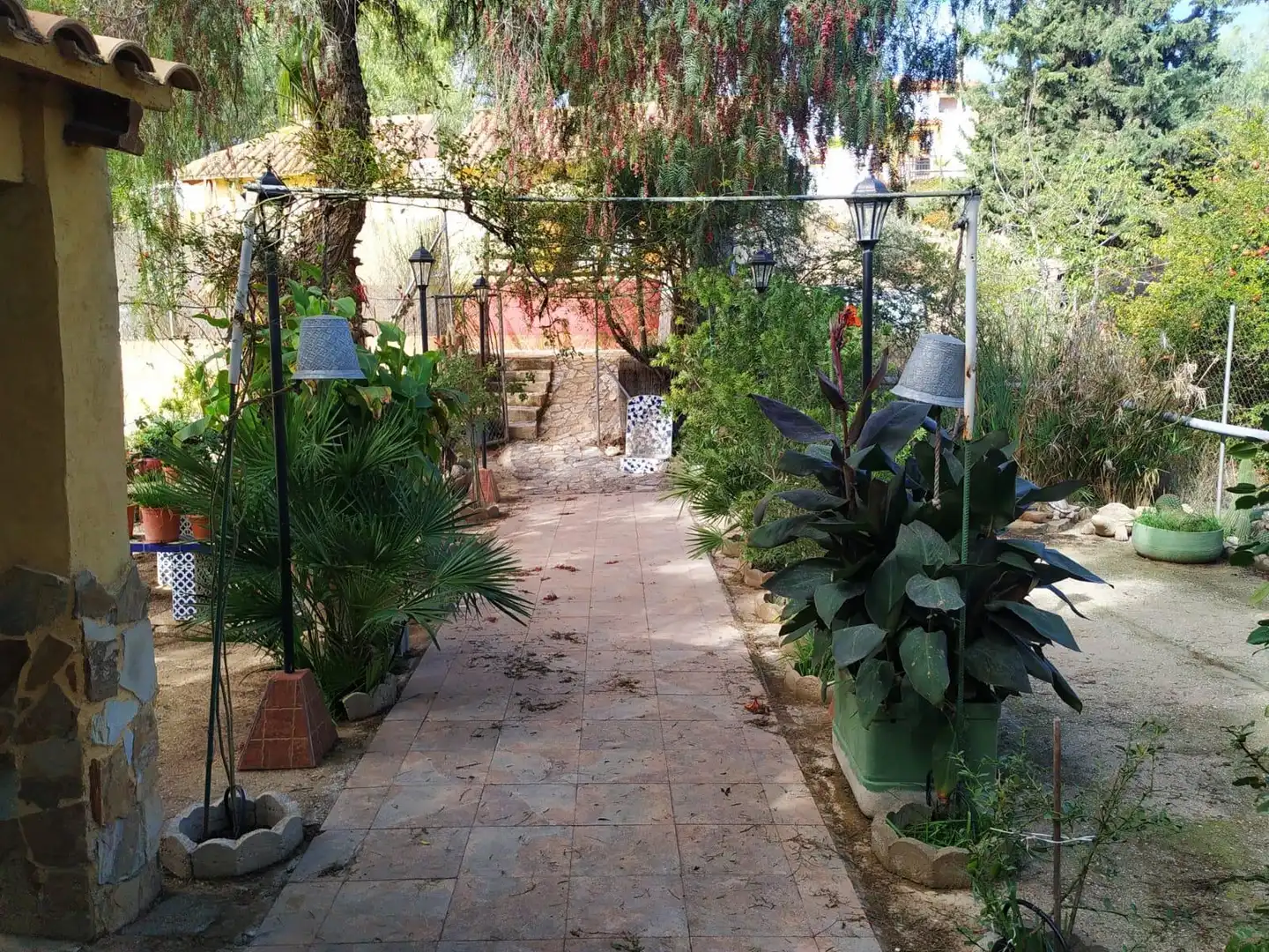Garden of Houses for sale in Mula  with Terrace