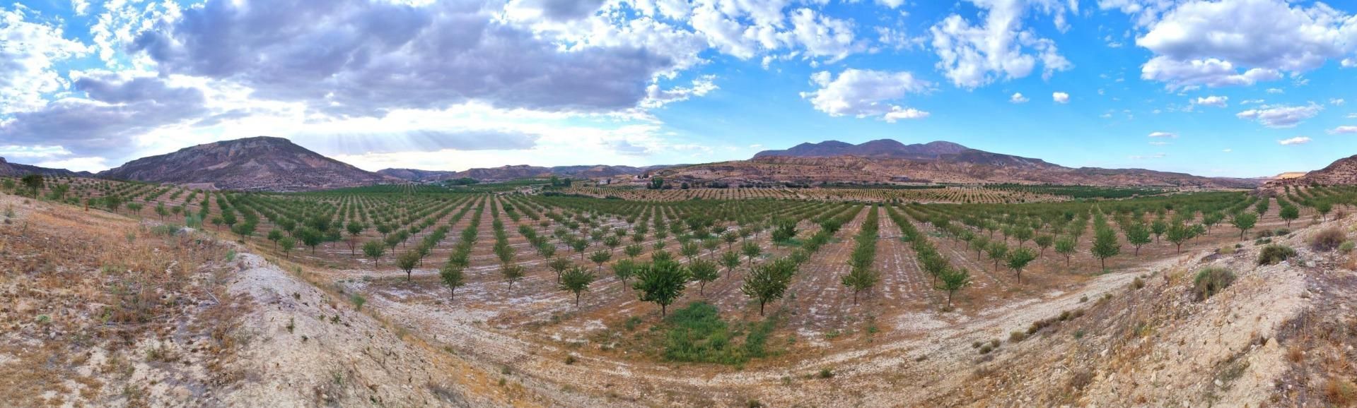 Exterior view of Land for sale in Huélago