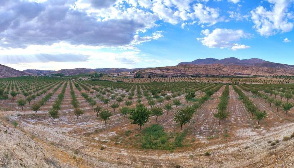 Foto 1 de Terreny en venda a Huélago, Granada