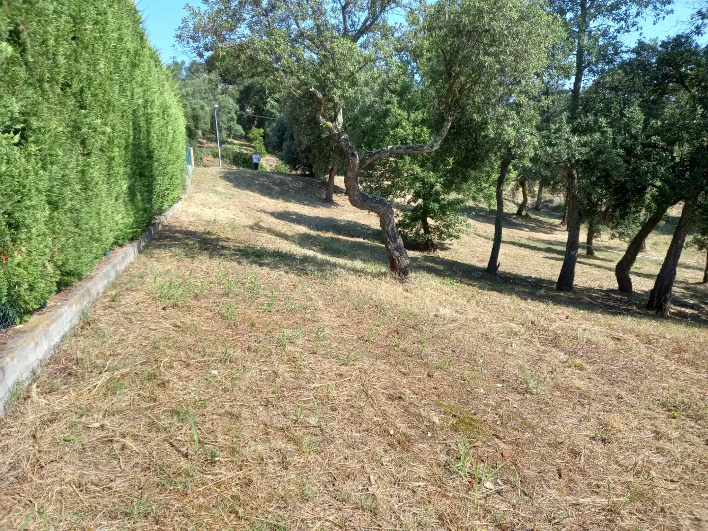 Terrenys i solars en venda a ALT EMPORDA, imagen 2