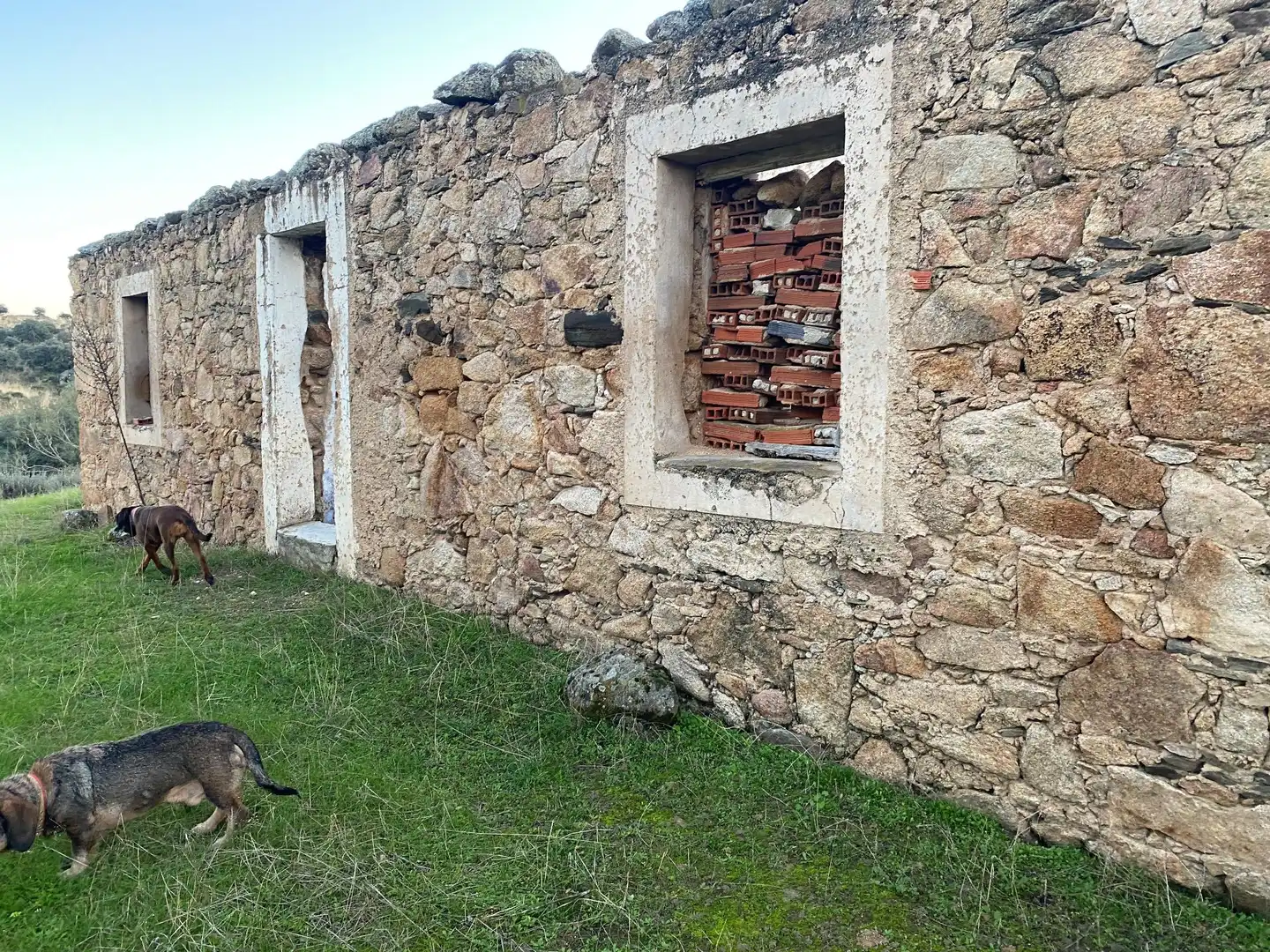 Terreni e lotti in vendita a Villar del Pedroso, imagen 28