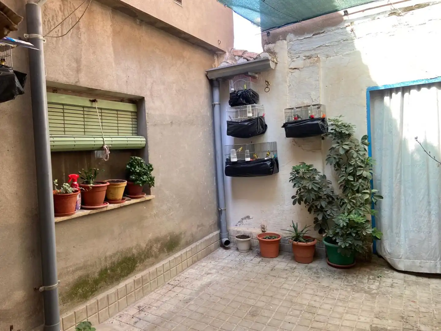 Terraza de Casa o chalet en venta en Valdepeñas con Terraza