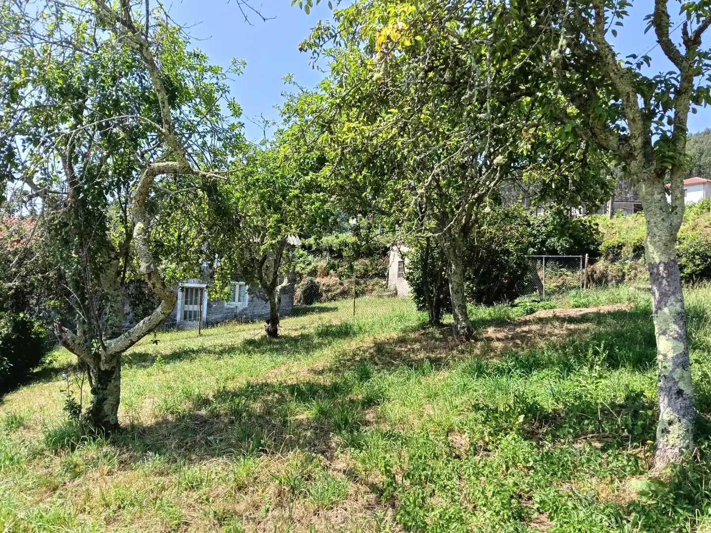 Adossat amb jardí en venda a Cesuras, imagen 18