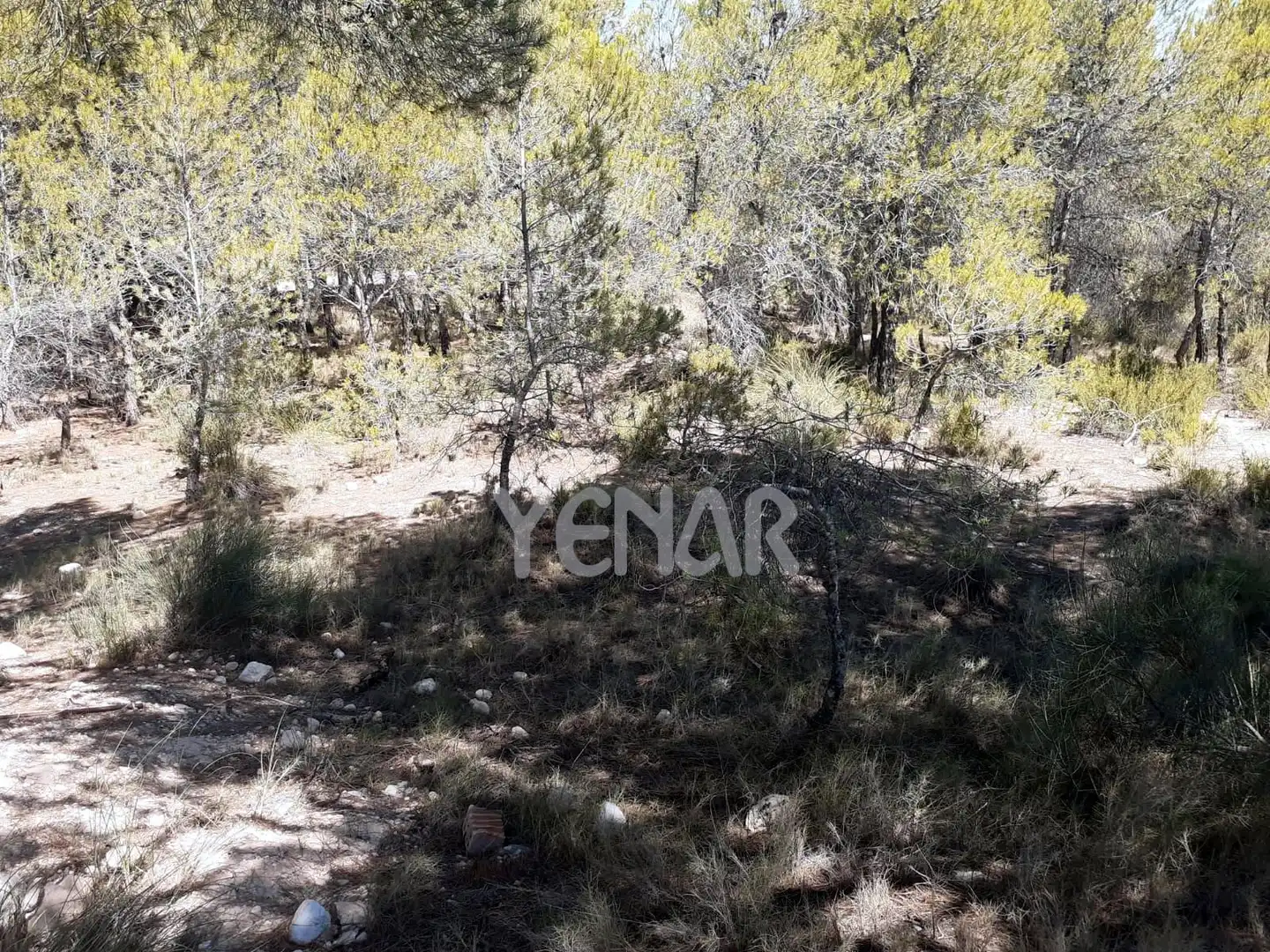 Terreny rústic en venda a Castalla, imagen 5