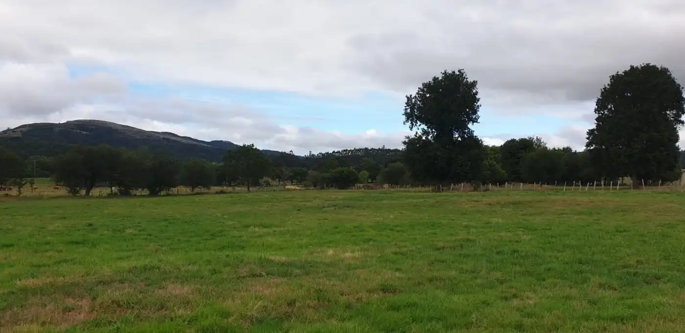 Terreno rustico in vendita a Mazcuerras, imagen 5