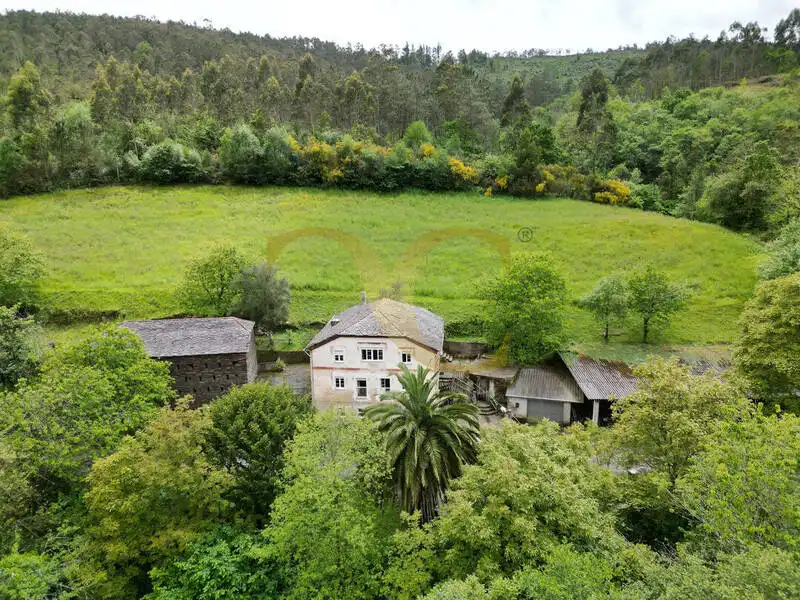 Vista exterior de Casa o chalet en venta en Coaña