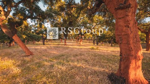 Photo 2 of Residential for sale in 7, Cala, Huelva