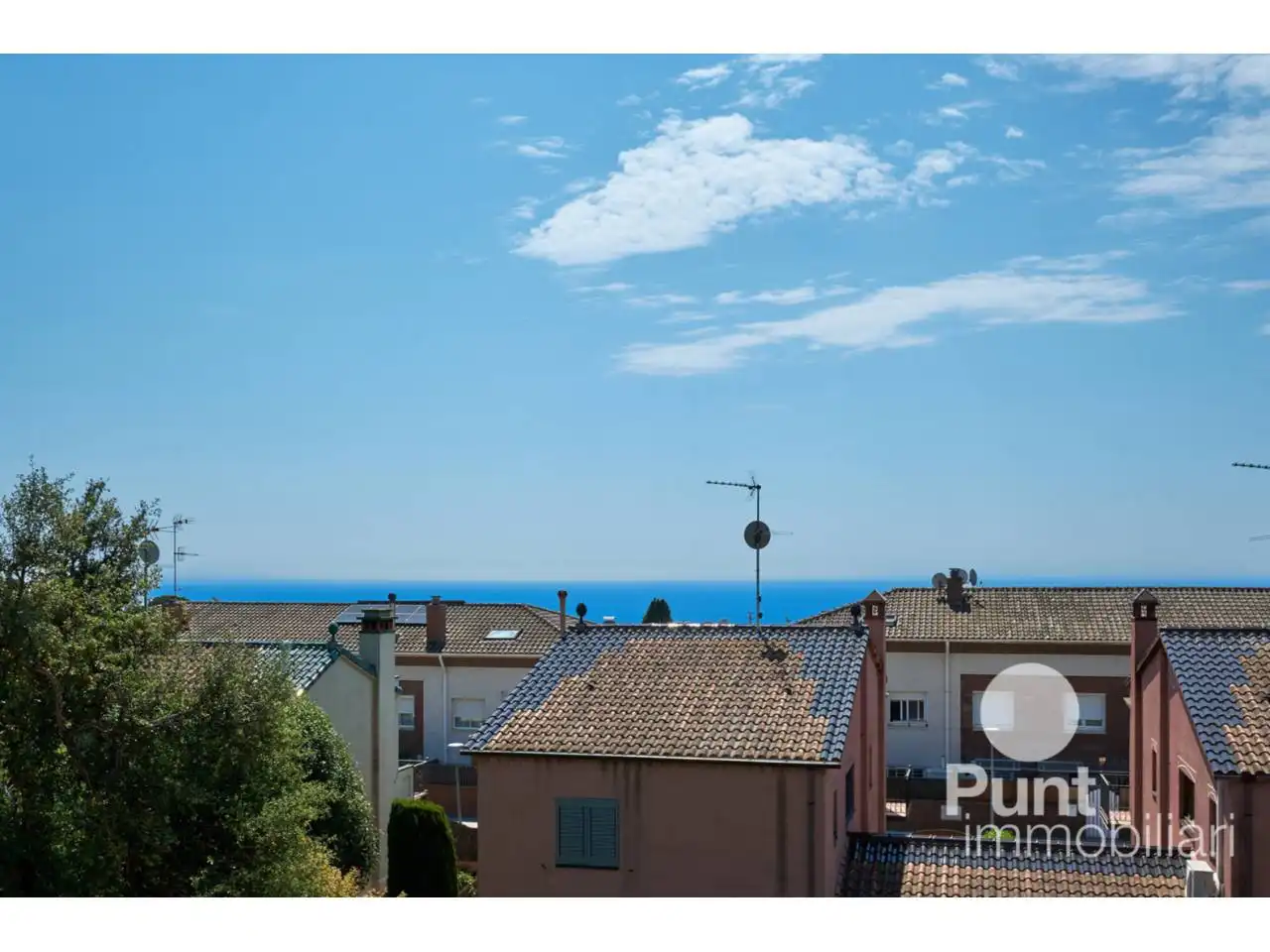 Vista exterior de Casa o chalet en venta en Premià de Dalt con Piscina
