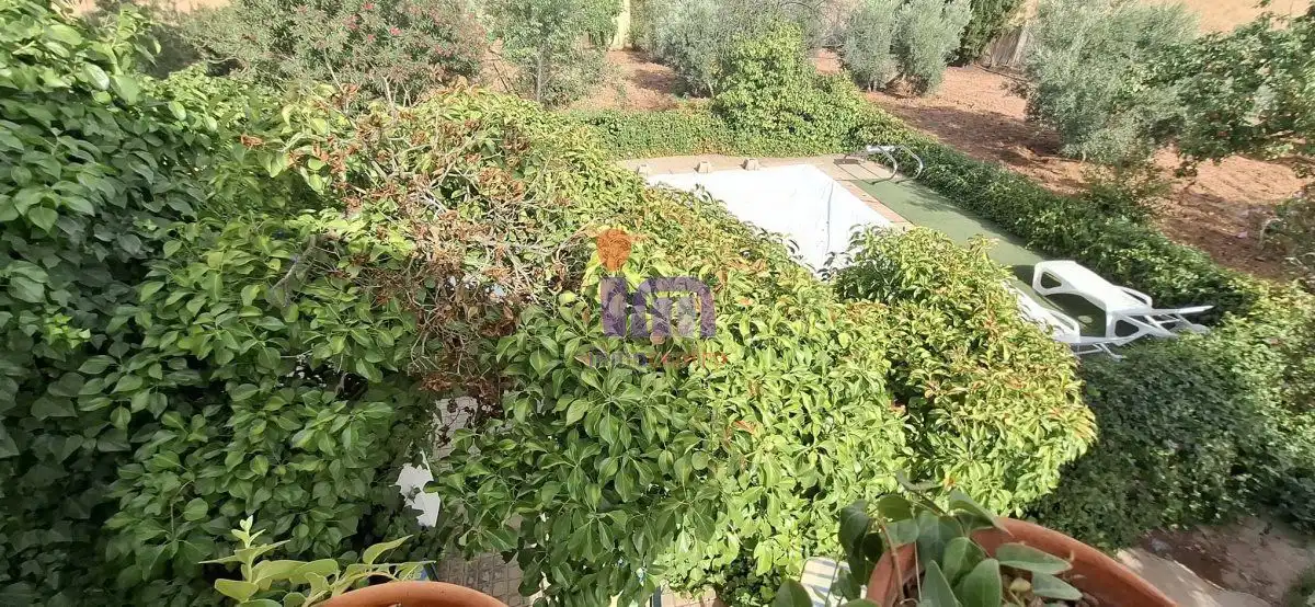 Jardí de Casa o xalet en venda en Valdepeñas amb Jardí privat i Piscina