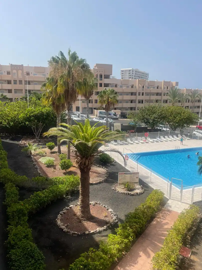 Appartamento con terrazza in affitto a Calle El Horno
