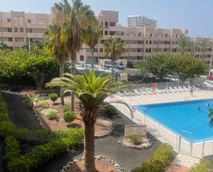 Swimming pool of Flat to rent in Adeje  with Terrace and Balcony