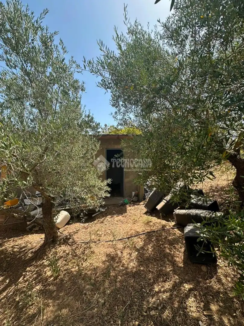 Casa rústica en venda a Arcos de la Frontera, imagen 18