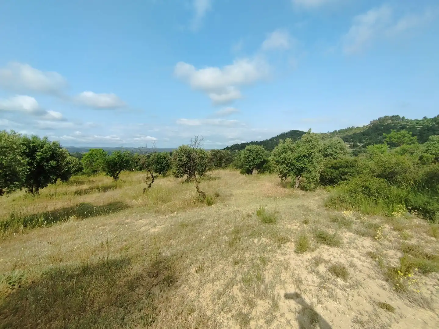 Casa o xalet en venda en Cervià de Les Garrigues amb Traster