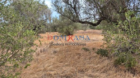 Se vende finca rustica en Roquetes., imagen 5