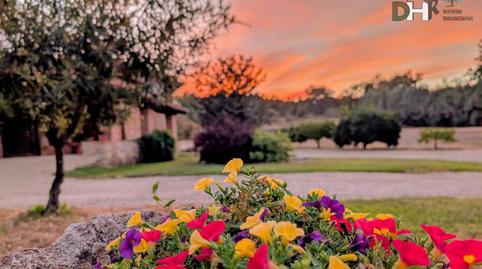 Foto 4 de Edifici en venda a Mejostilla, Cáceres