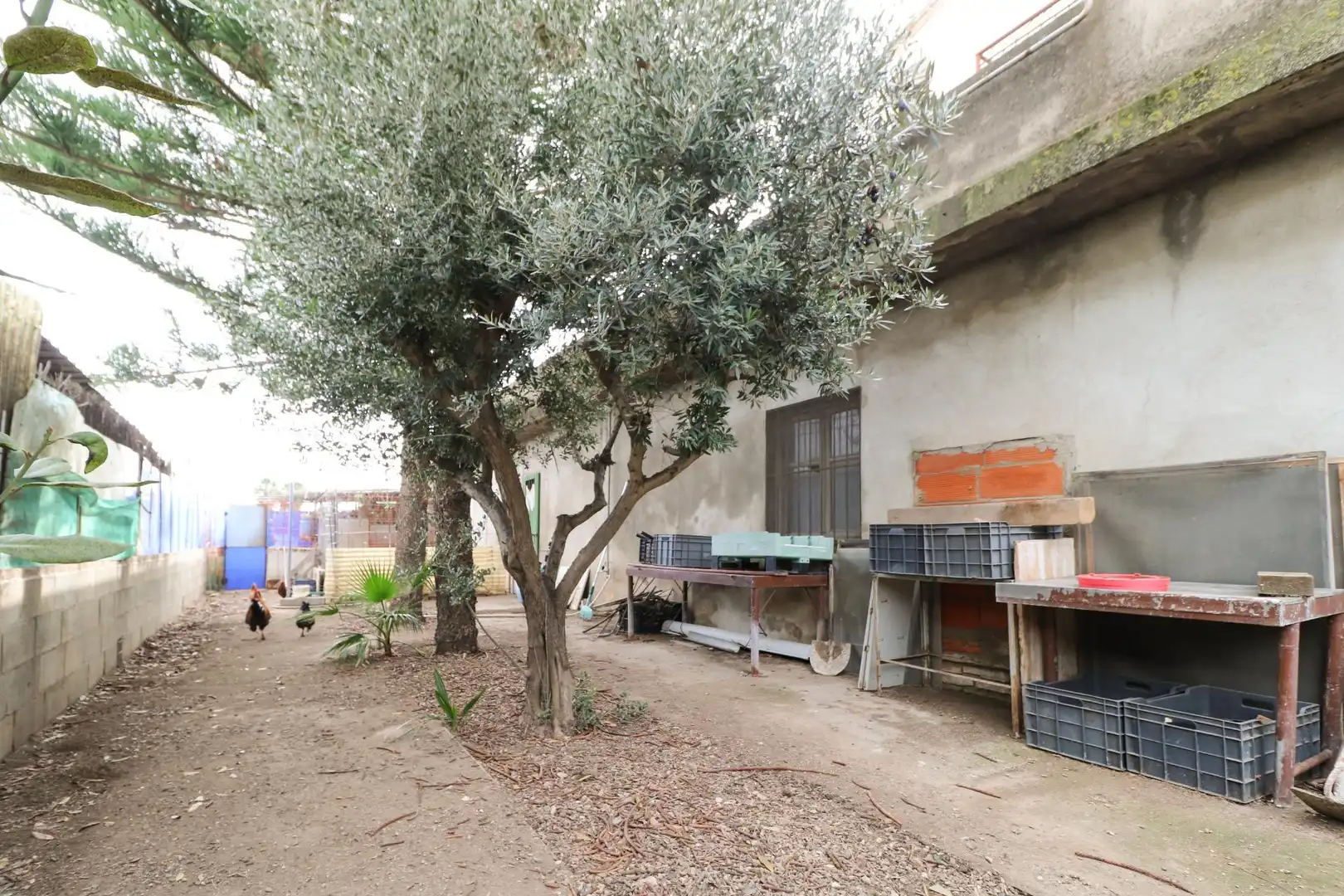 Exterior view of Country homes for sale in Sant Boi de Llobregat  with Private garden, Terrace and Storage room