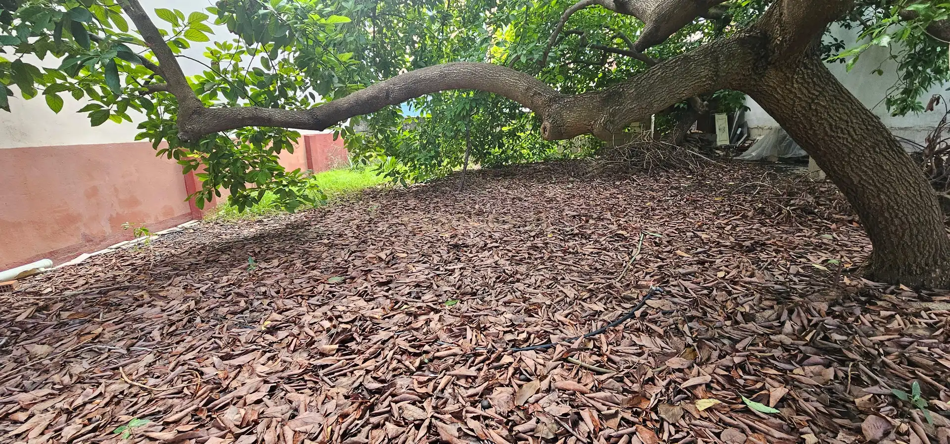 Garten von Residential zum Verkauf in Piles