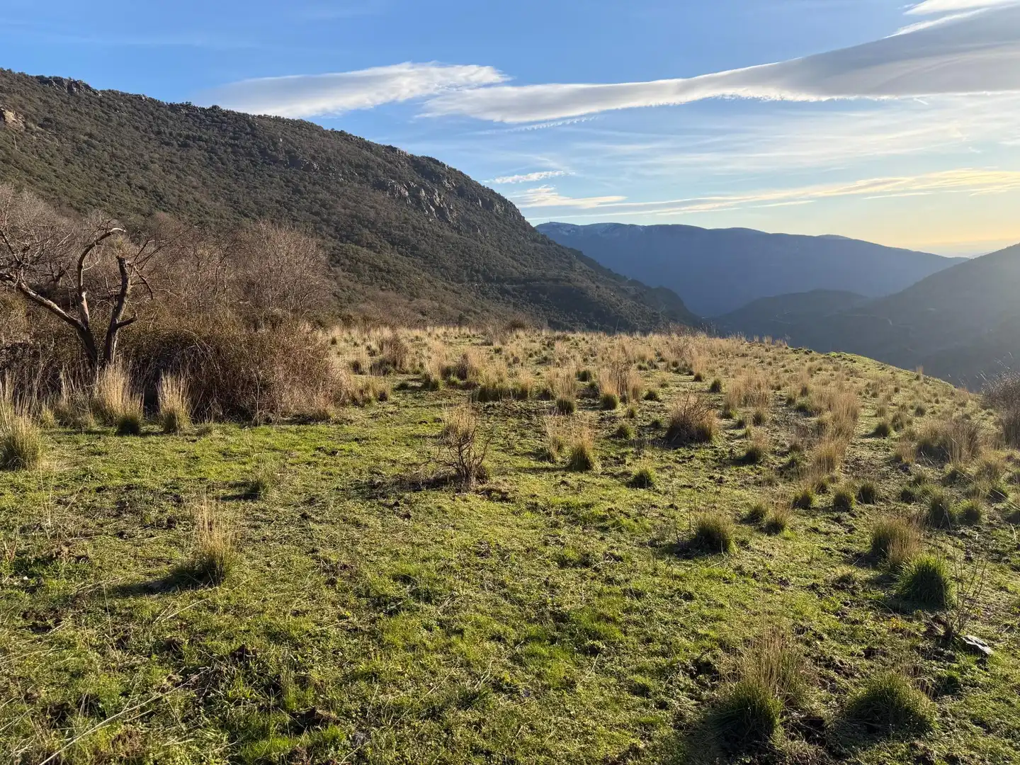 Rural land for sale in Bubión, imagen 7