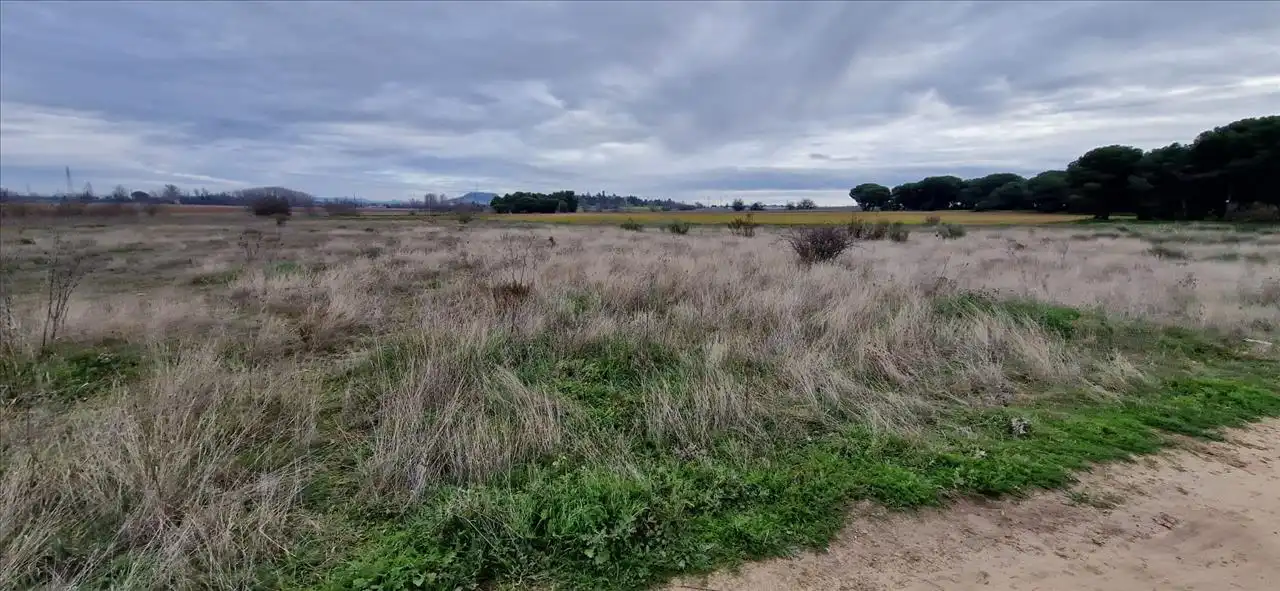 Residential land for sale in 4 LA REVILLA, imagen 3