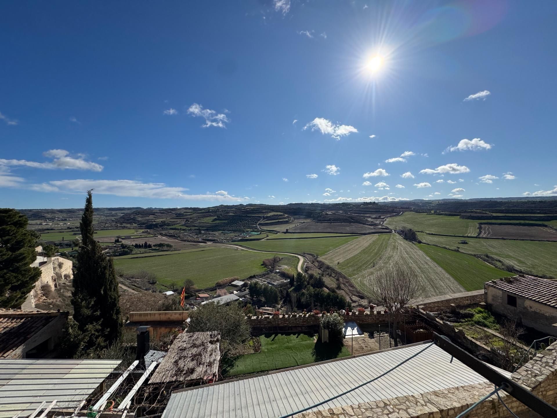 Vista exterior de Casa o chalet en venta en Cervera con Amueblado y Balcón