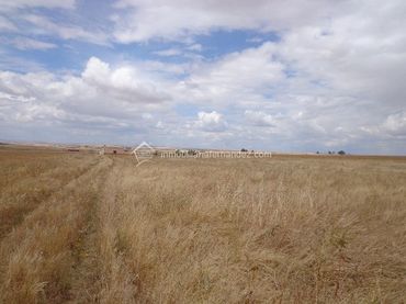 Terreno rustico in vendita a Valdesalor - Rincón de Ballesteros