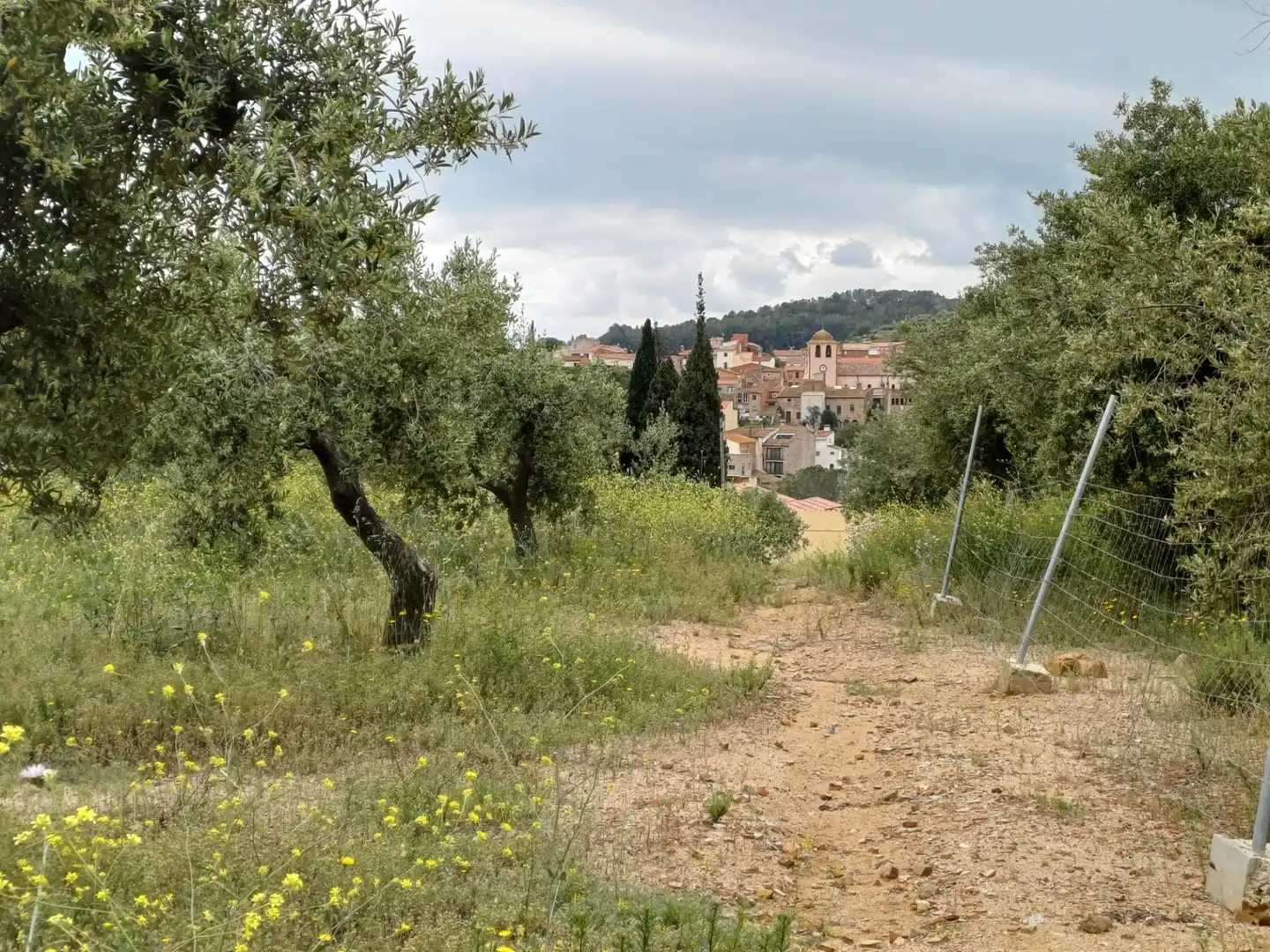 Terreno rustico in vendita a Carrer Carretera del Castell, imagen 4