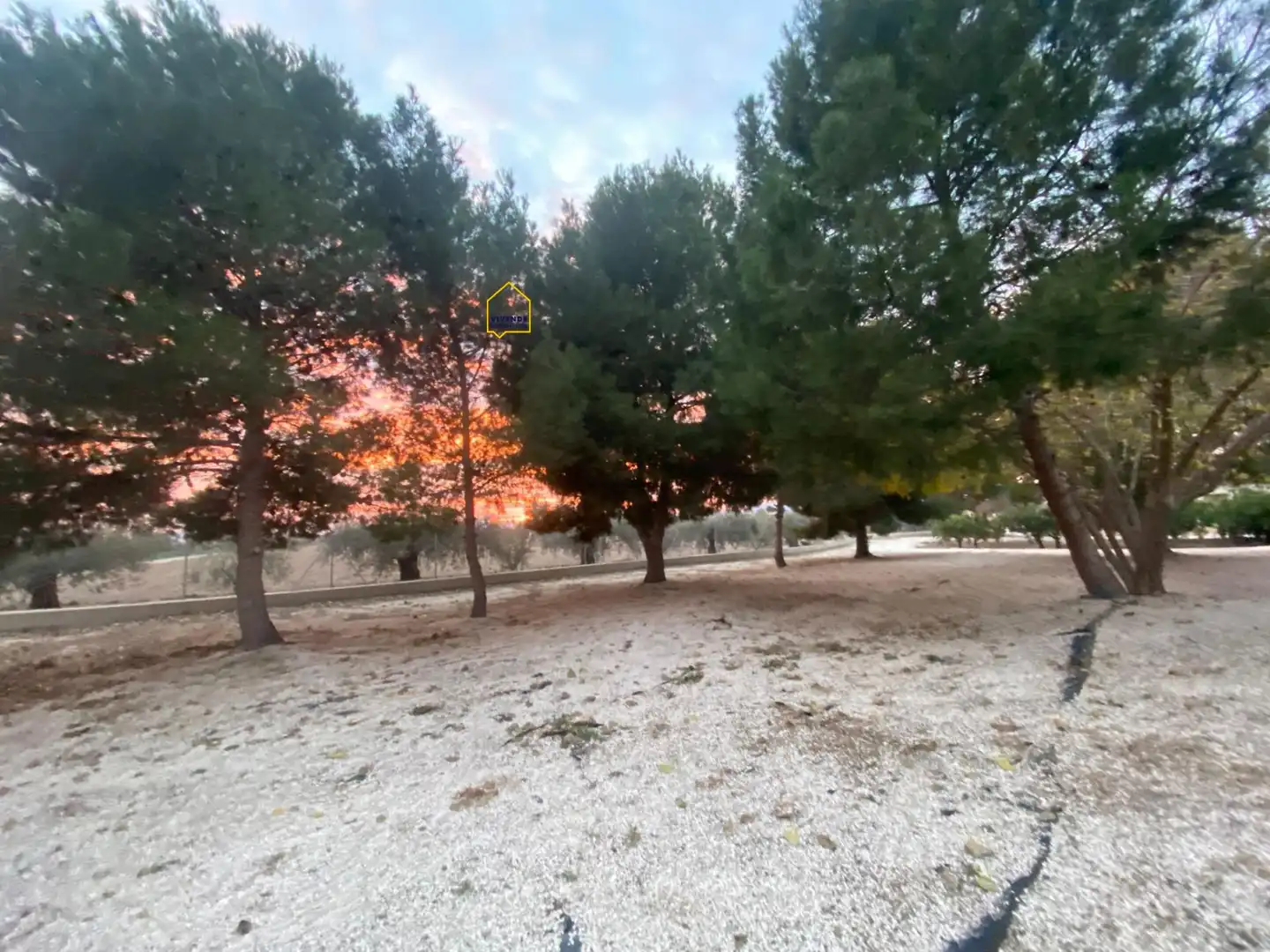 Casa o chalet en venta en Marchena