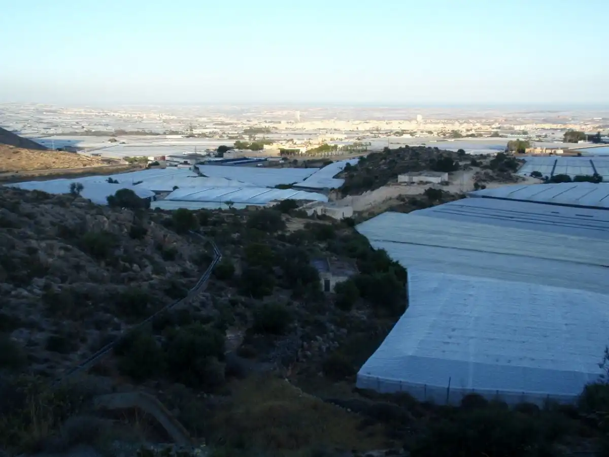 Vista exterior de Finca rústica en venta en Dalías