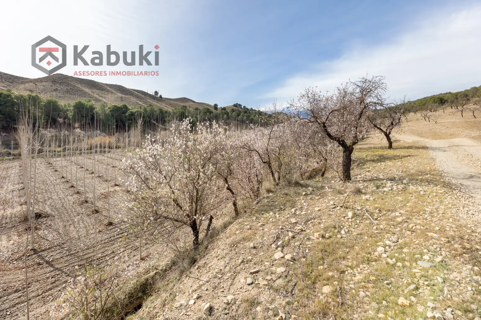 Terreni e lotti in vendita a Guadix - AUTE. VALLE DEL ZALABI, imagen 2