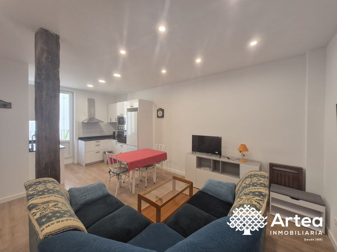 Living room of Flat for rent in Bernedo  with Terrace, Oven and Washing machine