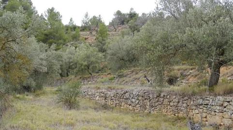 Foto 2 de Finca rústica en venta en Lledó, Teruel