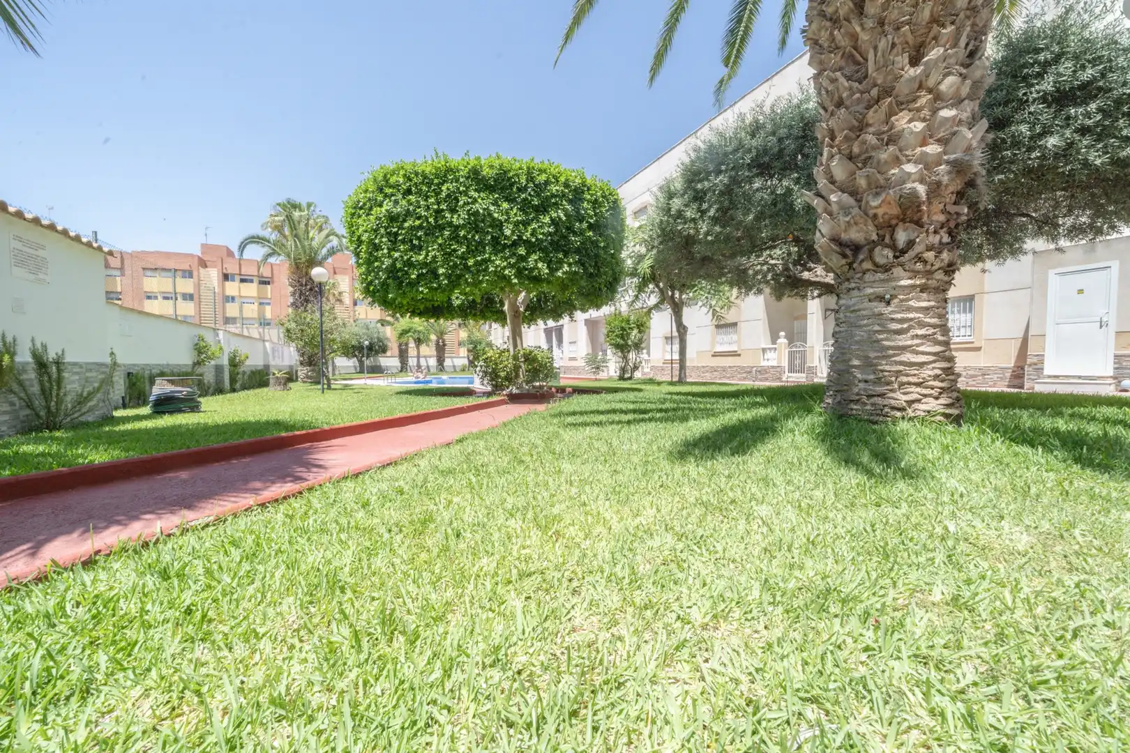 Jardín de Apartamento de alquiler en Torrevieja con Aire acondicionado, Terraza y Piscina