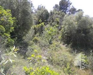 Planta baixa en venda en Alzira