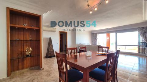 Photo 3 of Apartments for rent in Port d'Alcúdia - Platja d'Alcúdia, Alcúdia