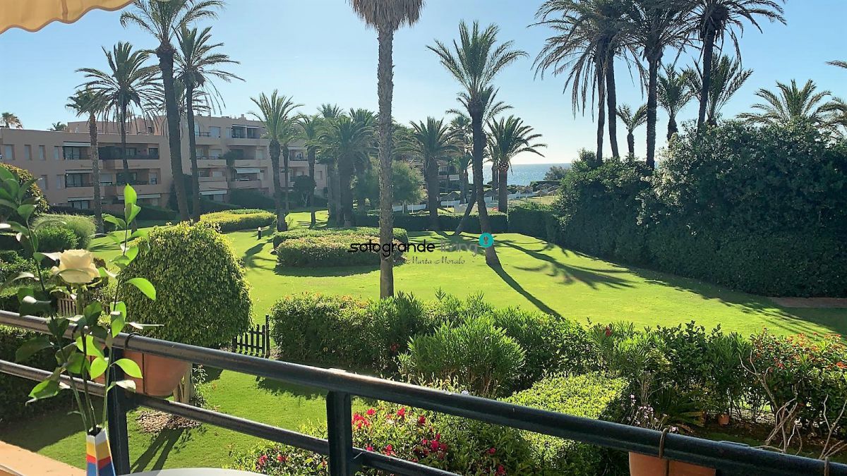 Jardí de Apartament de lloguer en Sotogrande amb Aire condicionat, Calefacció i Terrassa