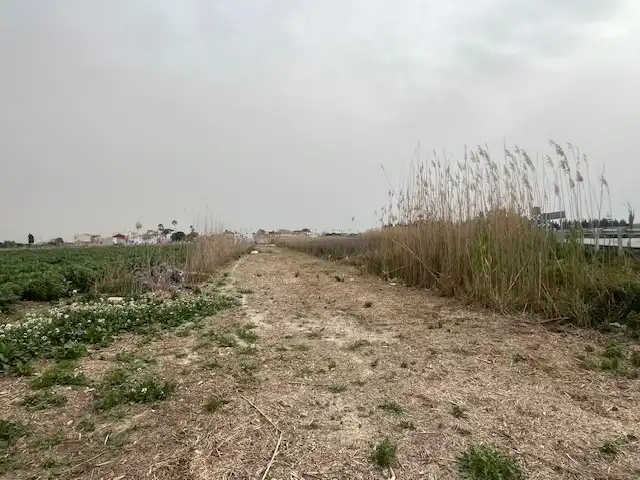 Terreni e lotti in vendita a El saladar, imagen 4