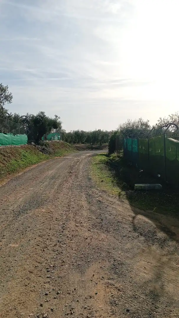 Terreni e lotti in vendita a Villanueva del Ariscal, imagen 24
