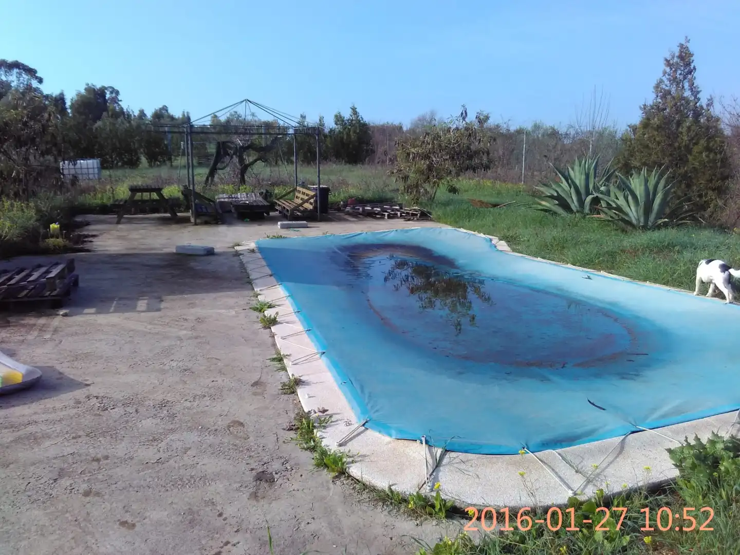 Rustikales Grundstück zum Verkauf in Rociana del Condado, imagen 5